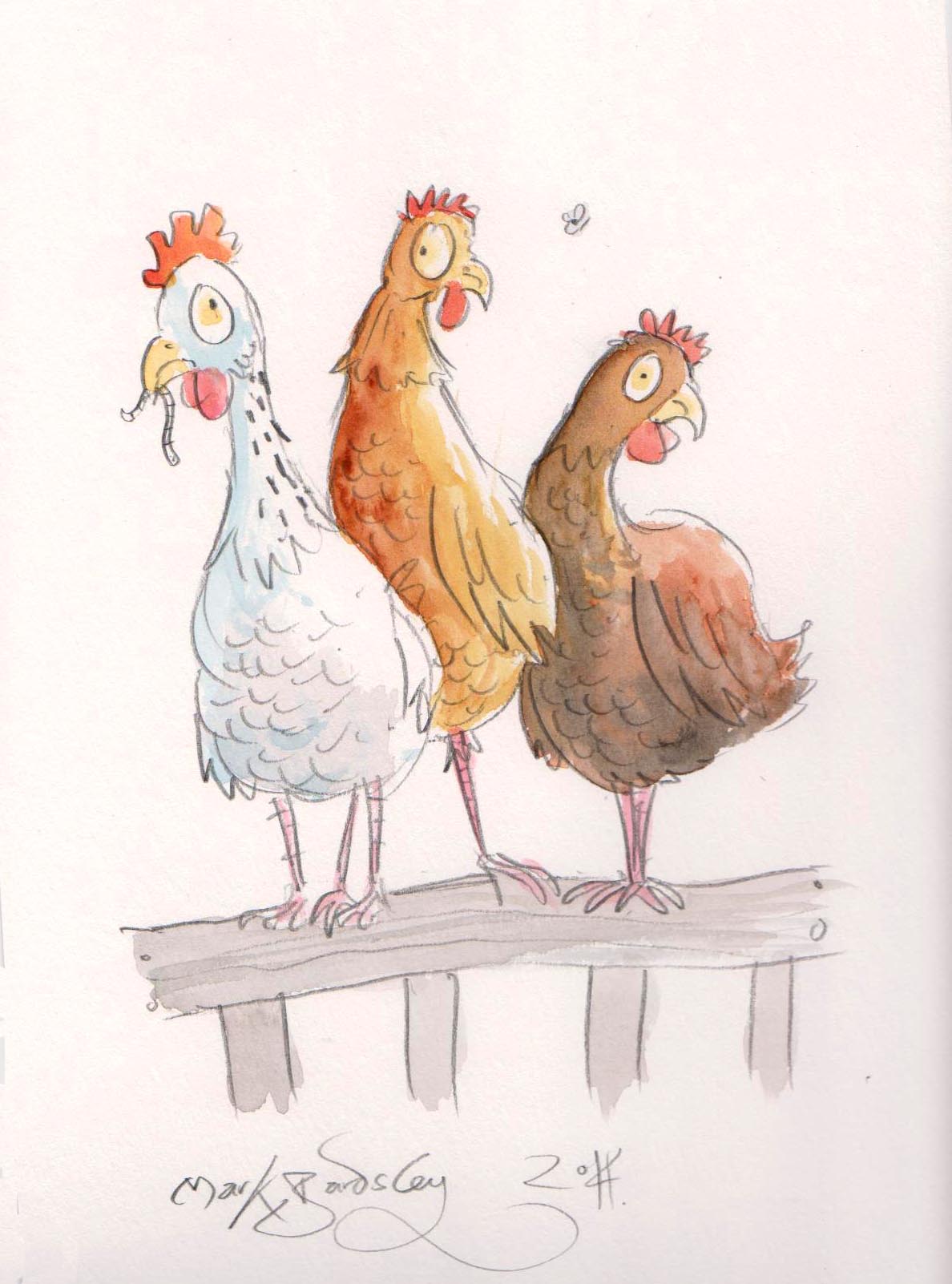 chicken cartoon