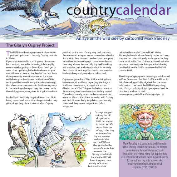 wildlife article on the Glaslyn osprey project. CLICK TO ENLARGE